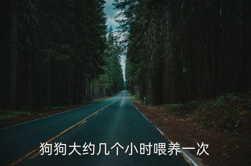 狗狗大約幾個小時喂養一次
