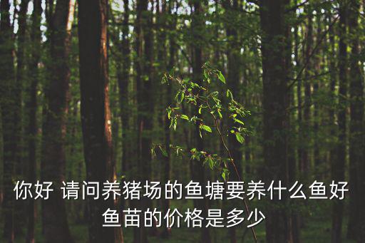 什么魚好養 有價格是多少，紅眼睛魚野生跟人工養的大概是什么價格