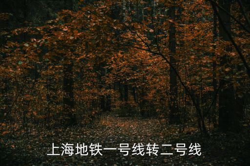 上海地鐵一號(hào)線轉(zhuǎn)二號(hào)線