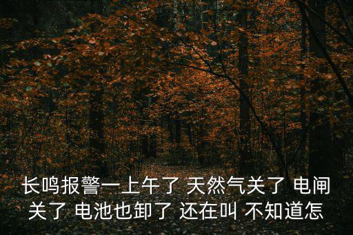 長鳴報警一上午了 天然氣關了 電閘關了 電池也卸了 還在叫 不知道怎