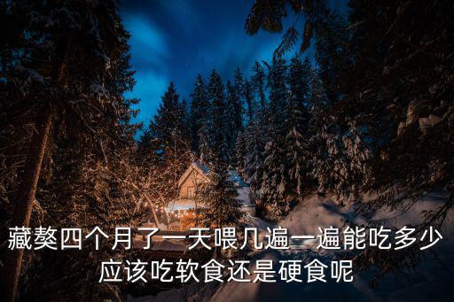 藏獒四個(gè)月了一天喂幾遍一遍能吃多少應(yīng)該吃軟食還是硬食呢