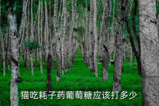 貓吃耗子藥葡萄糖應該打多少