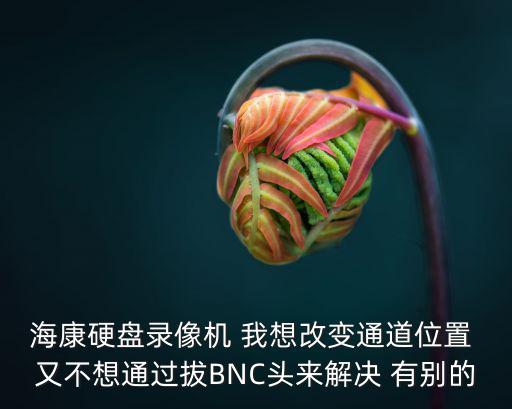 ?？涤脖P錄像機 我想改變通道位置 又不想通過拔BNC頭來解決 有別的