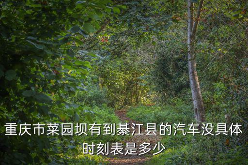 重慶市菜園壩有到綦江縣的汽車沒具體時刻表是多少