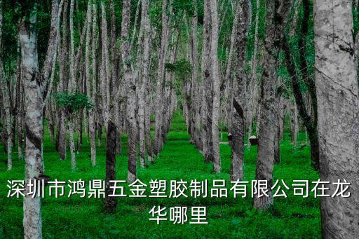 深圳多瑪五金總代理電話，深圳市鴻鼎五金塑膠制品有限公司在龍華哪里