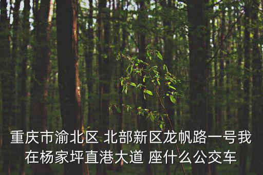 重慶市渝北區(qū) 北部新區(qū)龍帆路一號我在楊家坪直港大道 座什么公交車