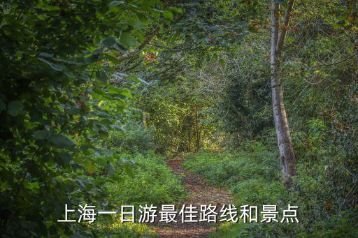 上海一日游最佳景點全部圖片，上海一日游景點推薦