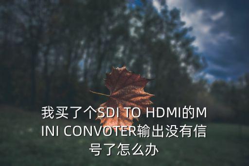 我買了個SDI TO HDMI的MINI CONVOTER輸出沒有信號了怎么辦