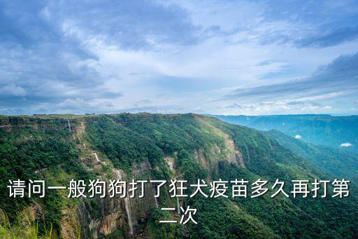 狂犬病疫苗多少時間打一次，請問一般狗狗打了狂犬疫苗多久再打第二次