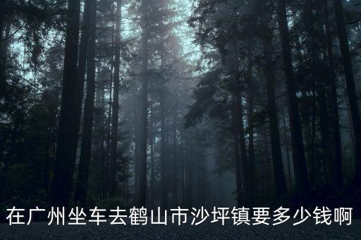 在廣州坐車去鶴山市沙坪鎮要多少錢啊