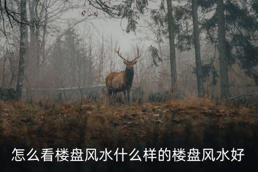 怎么看樓盤風(fēng)水什么樣的樓盤風(fēng)水好
