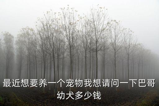 最近想要養一個寵物我想請問一下巴哥幼犬多少錢