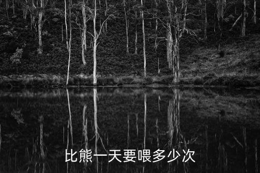 比熊一天要喂多少次