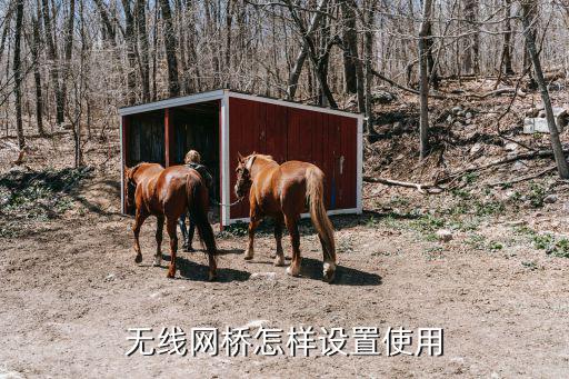 ?？?5公里網橋怎么調試，請問一下網橋怎么設置