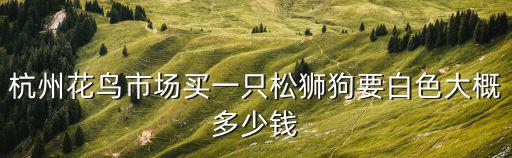 杭州花鳥市場買一只松獅狗要白色大概多少錢