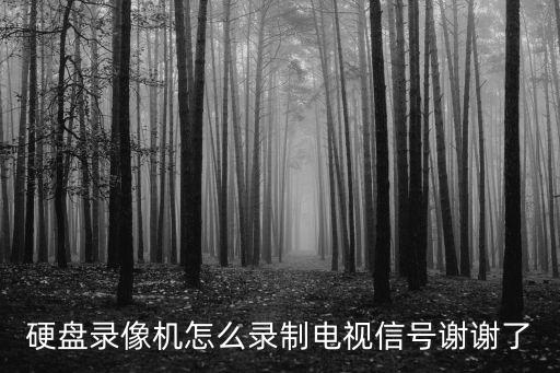 硬盤錄像機(jī)怎么錄制電視信號(hào)謝謝了