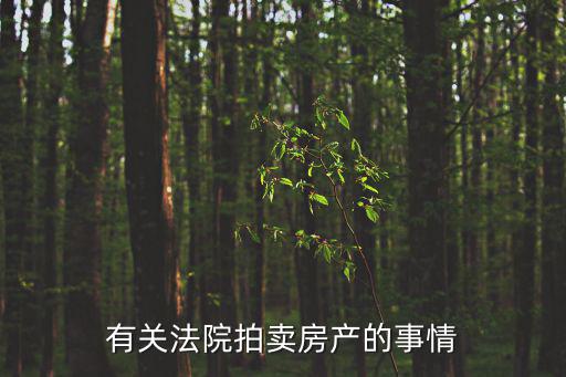有關法院拍賣房產的事情