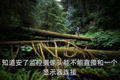 知道安了監控攝像頭能不能直接和一個顯示器連接