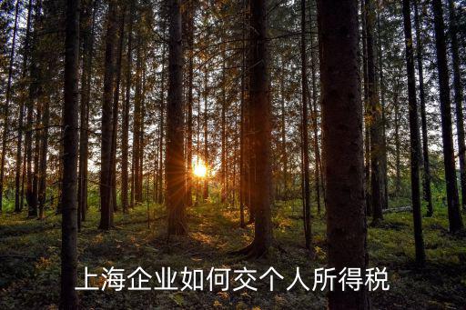 上海企業(yè)如何交個人所得稅