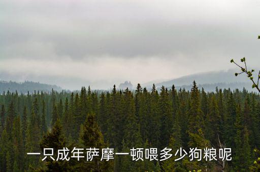1年薩摩耶吃多少，成年的薩摩耶一頓飯應該吃多少