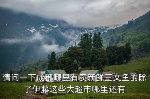 請問一下成都哪里有賣新鮮三文魚的除了伊藤這些大超市哪里還有