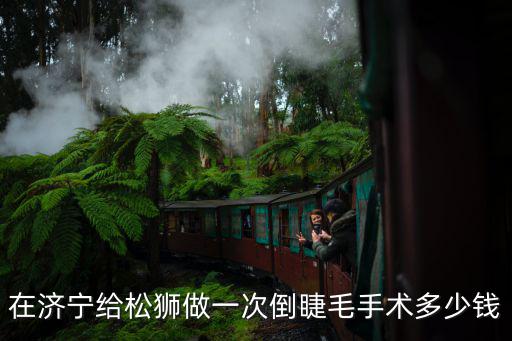 在濟寧給松獅做一次倒睫毛手術(shù)多少錢