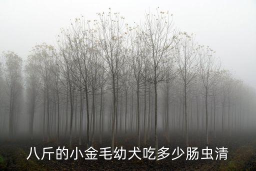 八斤的小金毛幼犬吃多少腸蟲清