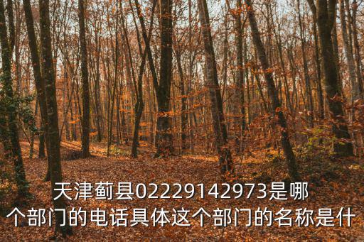 天津薊縣02229142973是哪個部門的電話具體這個部門的名稱是什