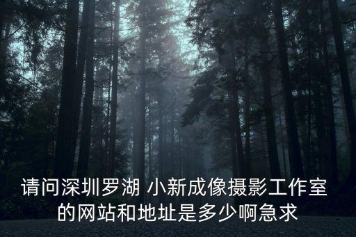 深圳攝像成象，深圳市拍婚紗照哪家好哪家婚紗店好