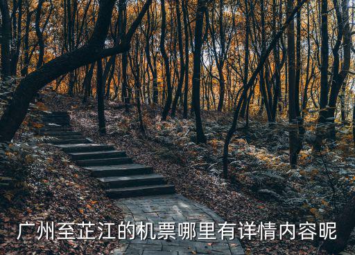廣州至芷江的機票哪里有詳情內容昵