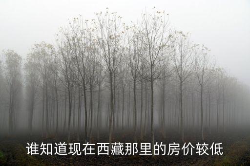 拉薩市區(qū)哪個(gè)地段房?jī)r(jià)最低，拉薩房?jī)r(jià)多少