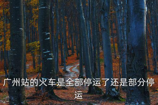 廣州站的火車是全部停運(yùn)了還是部分停運(yùn)