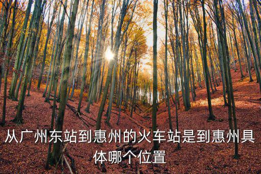 廣州東到惠州地鐵站在哪里，廣州東到惠州