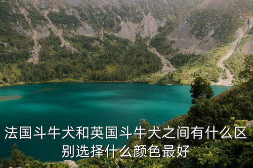 法國斗牛犬和英國斗牛犬之間有什么區別選擇什么顏色最好