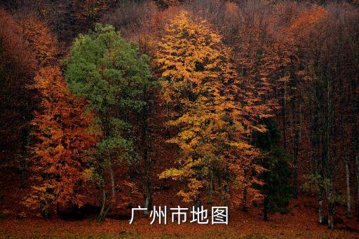 廣州地圖位置在哪個位置圖，廣州屬于中國地圖哪個部位