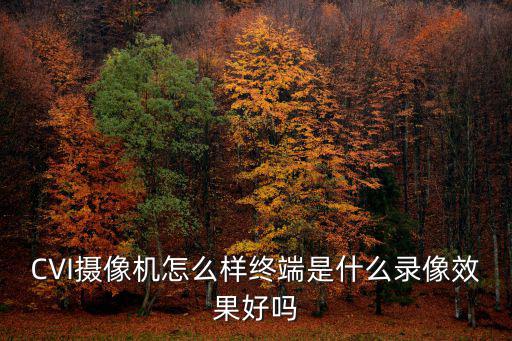 CVI攝像機怎么樣終端是什么錄像效果好嗎