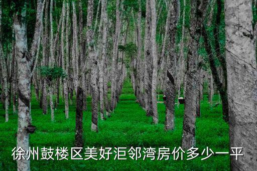 徐州鼓樓區(qū)美好洰鄰灣房價多少一平