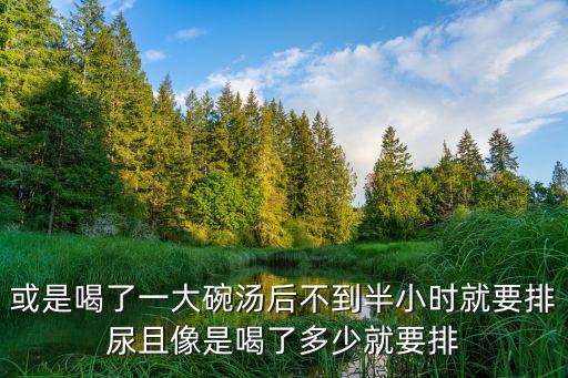 喝了多少水就拉多少尿，或是喝了一大碗湯后不到半小時就要排尿且像是喝了多少就要排