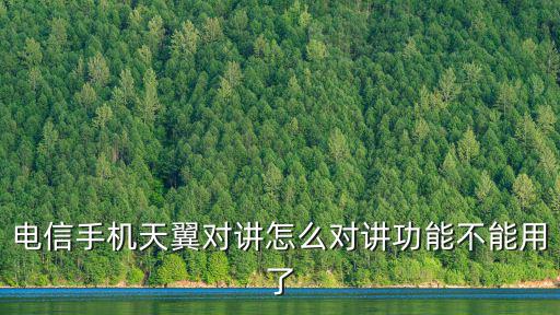 電信手機(jī)天翼對講怎么對講功能不能用了