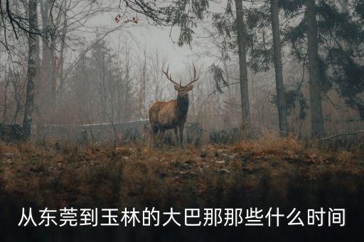 從東莞到玉林的大巴那那些什么時間