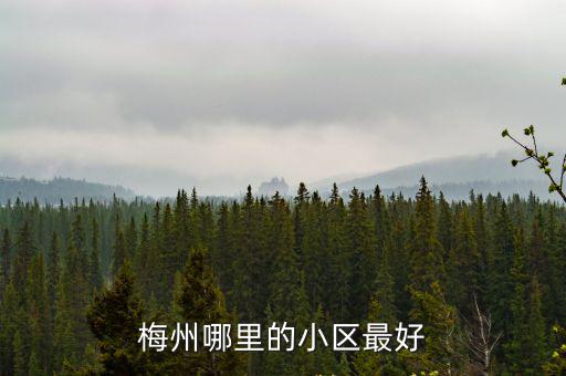 梅州哪里的小區最好