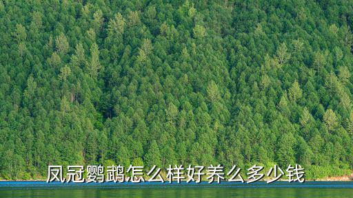 鳳冠鸚鵡怎么樣好養(yǎng)么多少錢