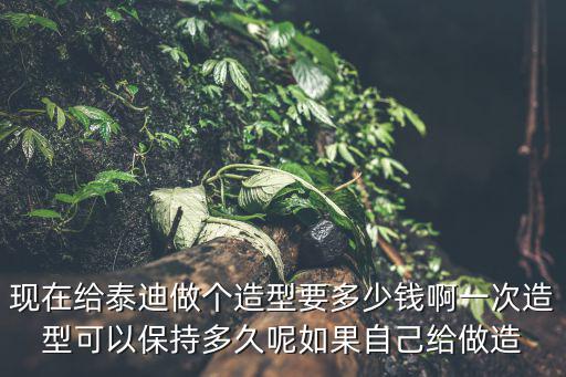 現在給泰迪做個造型要多少錢啊一次造型可以保持多久呢如果自己給做造