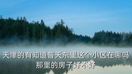 天津的有知道普天東里這個小區在哪嗎那里的房子好不好