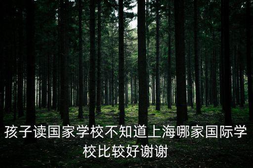 上海排名最好的國際學校小學，孩子讀國家學校不知道上海哪家國際學校比較好謝謝