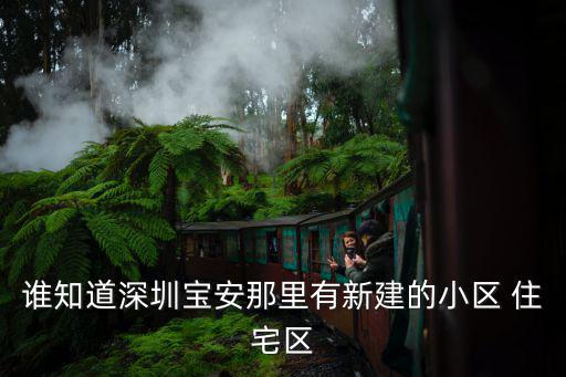誰知道深圳寶安那里有新建的小區 住宅區