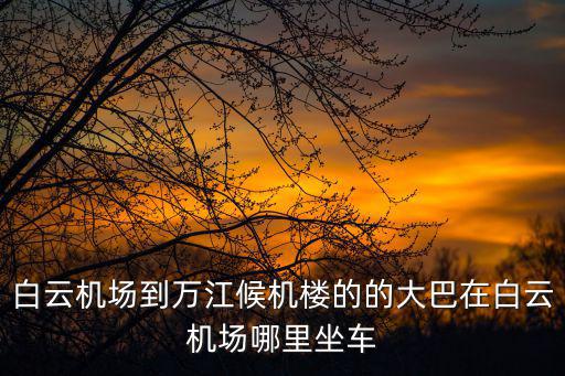 白云機場到萬江候機樓的的大巴在白云機場哪里坐車