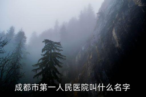 成都市第一人民醫院叫什么名字