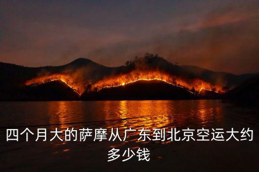 四個月大的薩摩從廣東到北京空運大約多少錢