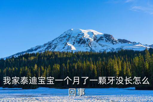 我家泰迪寶寶一個(gè)月了一顆牙沒(méi)長(zhǎng)怎么回事